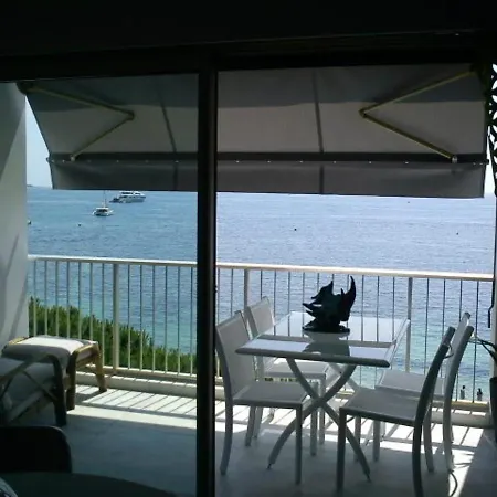 Fettolina Palm Cannes