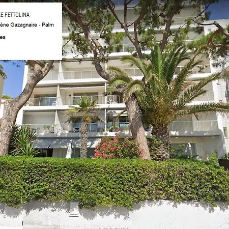 Fettolina Palm Beach, Location Front De Et *